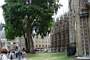 Westminster Abbey